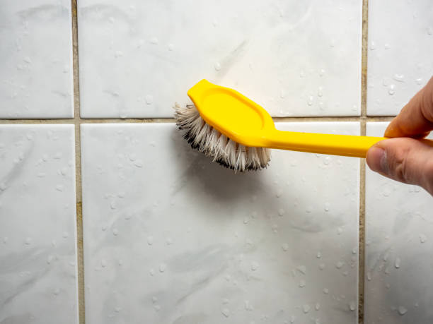 Best Black Mold Removal  in Azusa, CA
