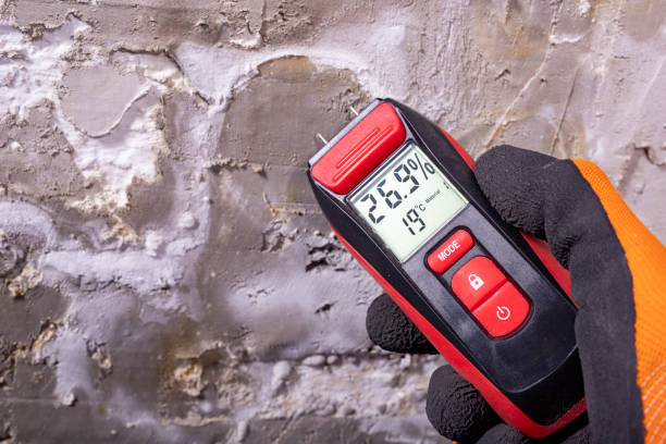 Best Mold Testing  in Azusa, CA