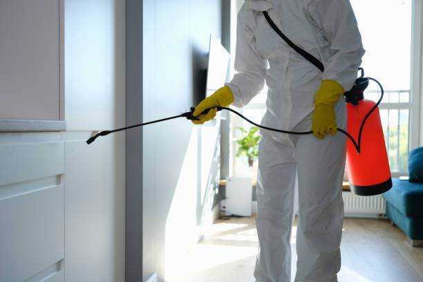 Best Attic Mold Removal  in Azusa, CA