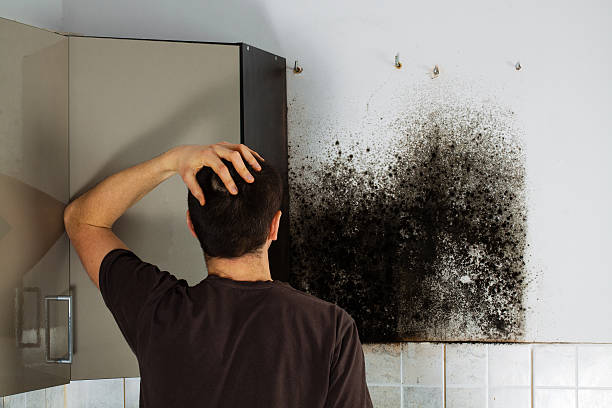 Best Mold Damage Repair  in Azusa, CA